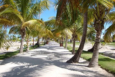 Chemin Plage