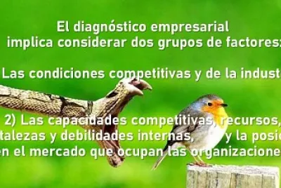 Fases