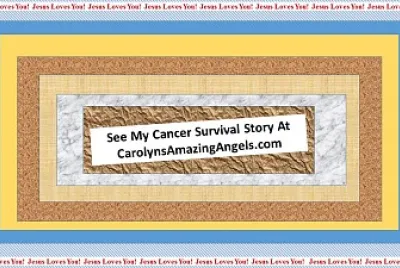SHAPELYS 1 - Survivor CarolynsAmazingAngels.com