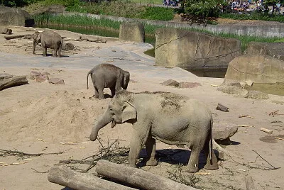 Im Zoo