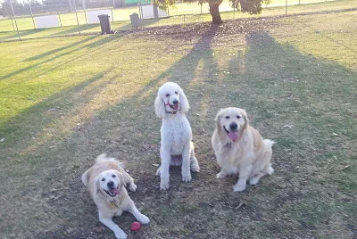 Jess, John-Paul and Jake