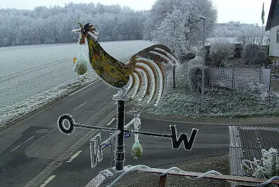 Wetterhahn im Winter