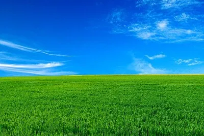 Campo aberto