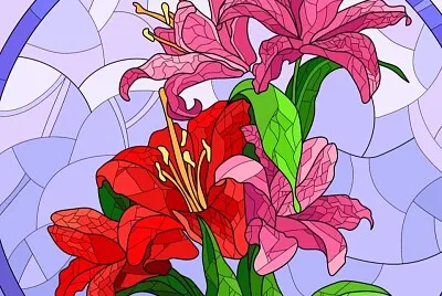 COLORIDO
