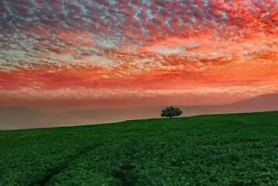 CÃ©u alaranjado