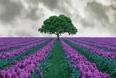 Ãrvore no campo