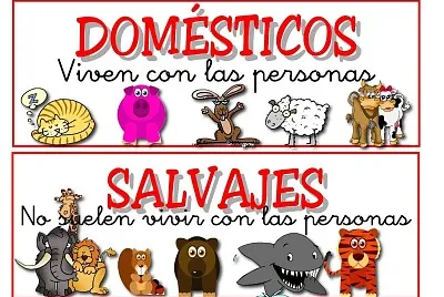 Animales domesticos y salvajes