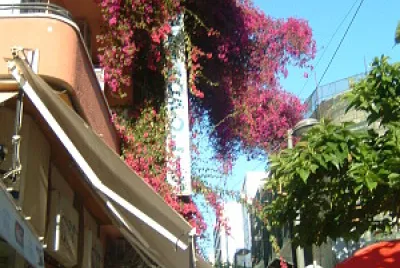 AthÃ¨nes