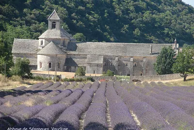 Abbaye de Senanques, Vaucluse