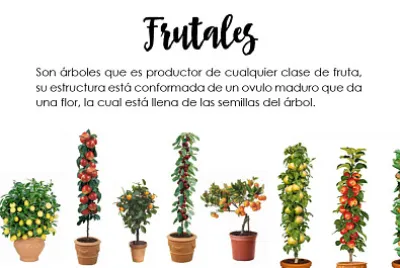 Cuentas de Activo No Corriente