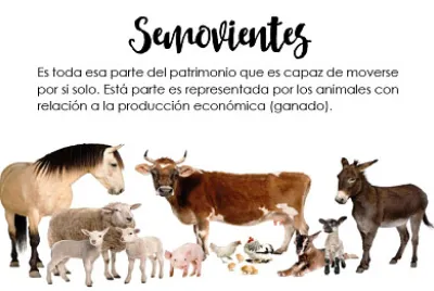 Cuentas de Activo No Corriente