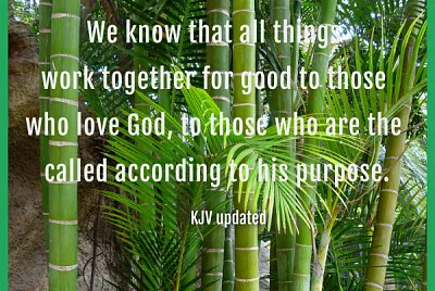 Romans 8:28