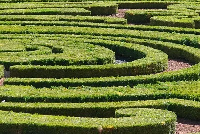Jardin, Vaux-le-Vicomte, 77