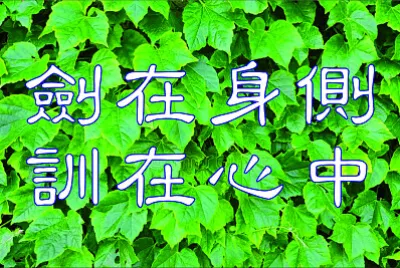 è—å¿ƒ