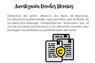 amortizaciÃ³n derecho literarios