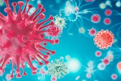 Virus