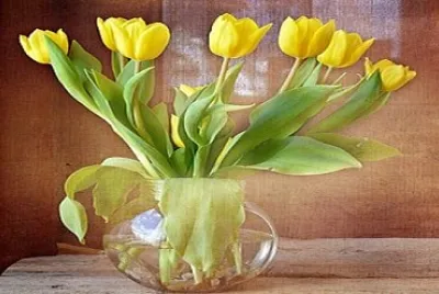 OK