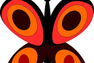 fly
