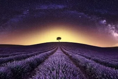 Campo de Lavanda