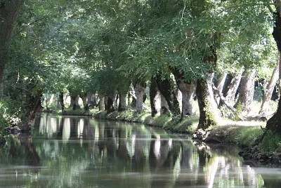 Marais poitevin, Deux-Sevres, France jigsaw puzzle
