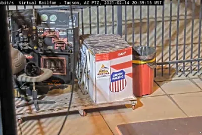 Tucson,AZ/USA Depot cat