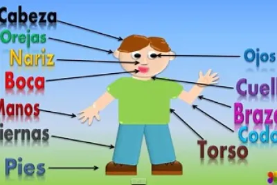 partes del cuerpo jigsaw puzzle