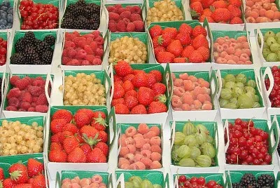 Marché de Gordes, Vaucluse