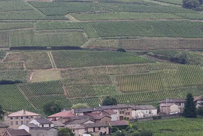 Vignoble de Pouilly, Nièvre