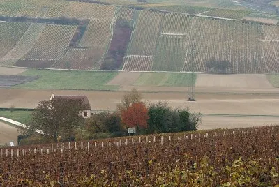 Vignoble de Sancerre, Cher