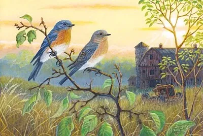 פאזל של True Blue Bluebird
