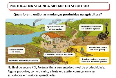 modernizaÃ§Ã£o da agricultura