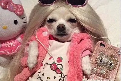 la perri diva