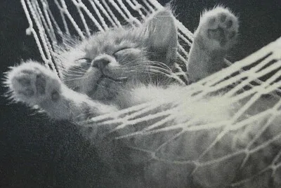 What a life