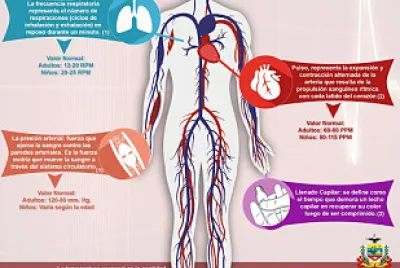 SIGNOS VITALES