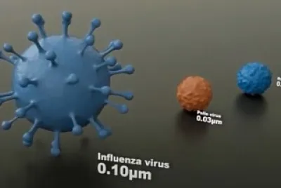 Virus