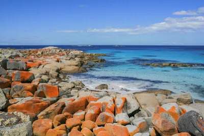 Tasmania jigsaw puzzle