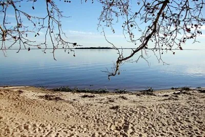 Playa del Rio uruguay jigsaw puzzle