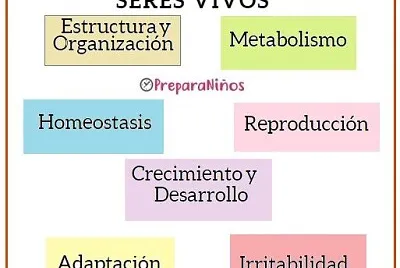 Caracteristicas