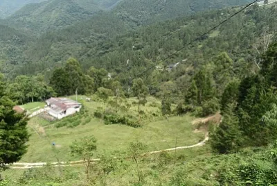guarderia