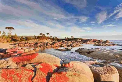Tasmania jigsaw puzzle