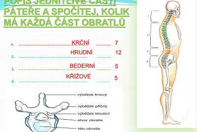 pÃ¡teÅ™
