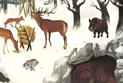 animale  sÄƒlbatice iarna