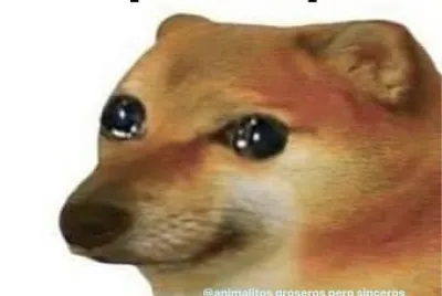 0lA