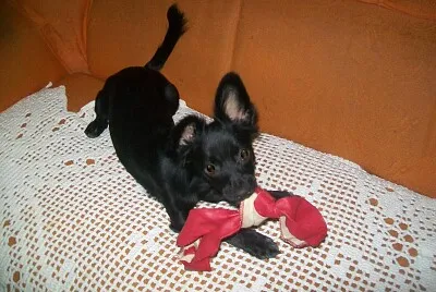 milla jigsaw puzzle