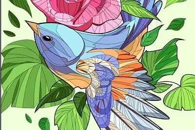 COLORIDO