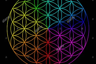 rainbow flower of life