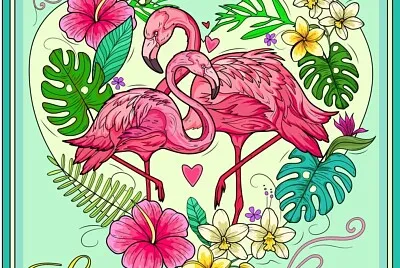 COLORIDO