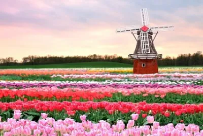 Keukenhof