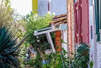 L 'Herbe jigsaw puzzle