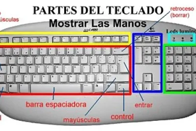 TECLADO Y SUS DIVISIONES